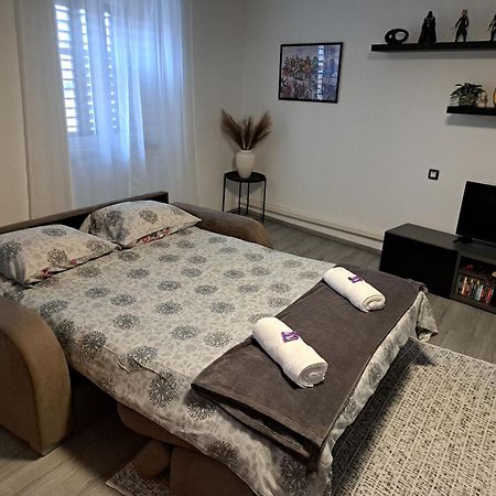 Apartman Darija Пазин Екстериор снимка